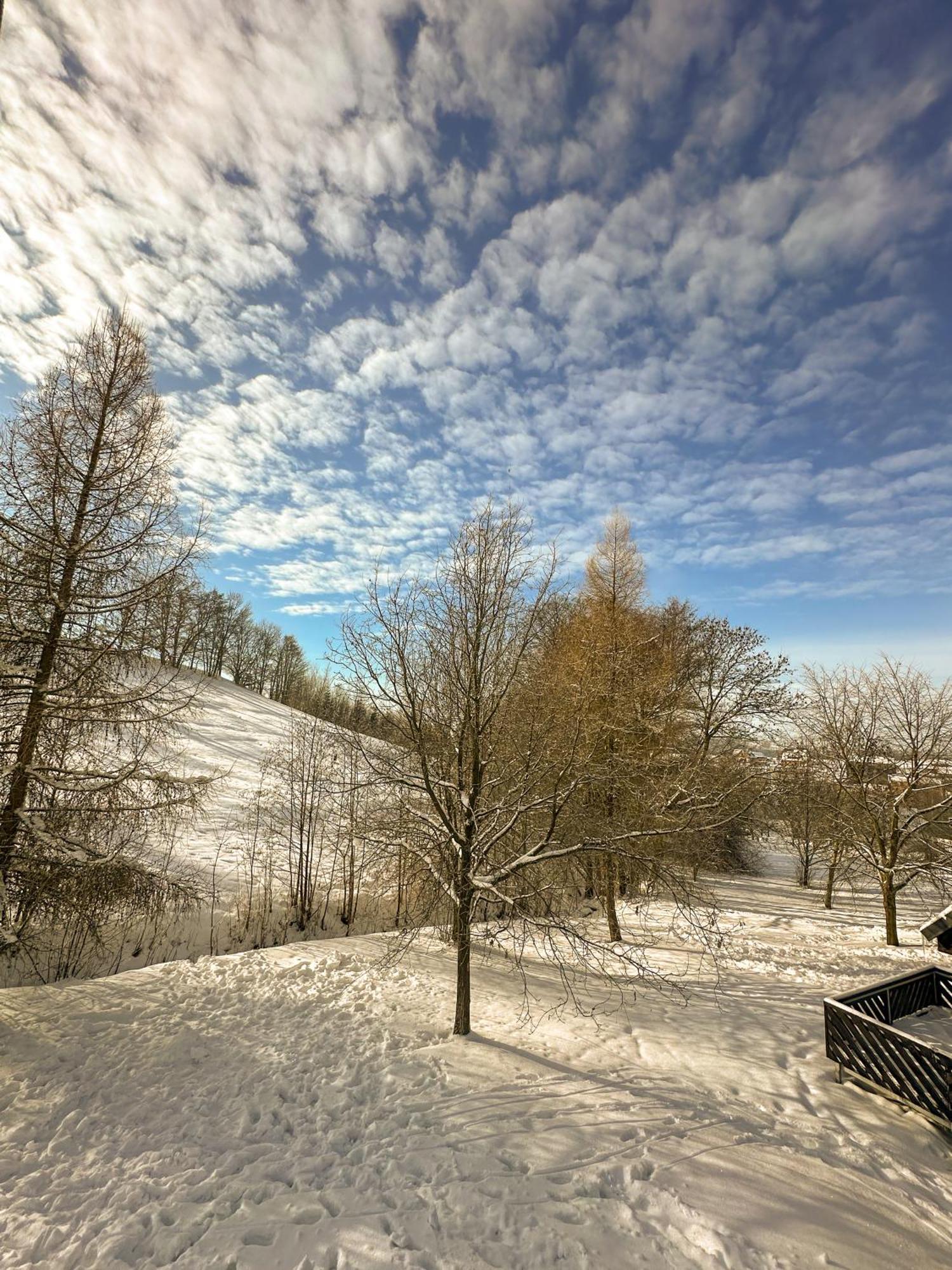 Villa Ctyricitka Na Stastnem Kopci Černý Důl Exterior foto